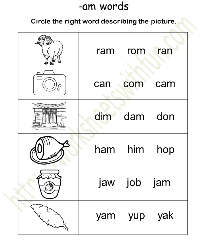 in-word-family-worksheet